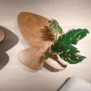 Wooden coffee tables with a tropical plant in a bright MVIVO living space.